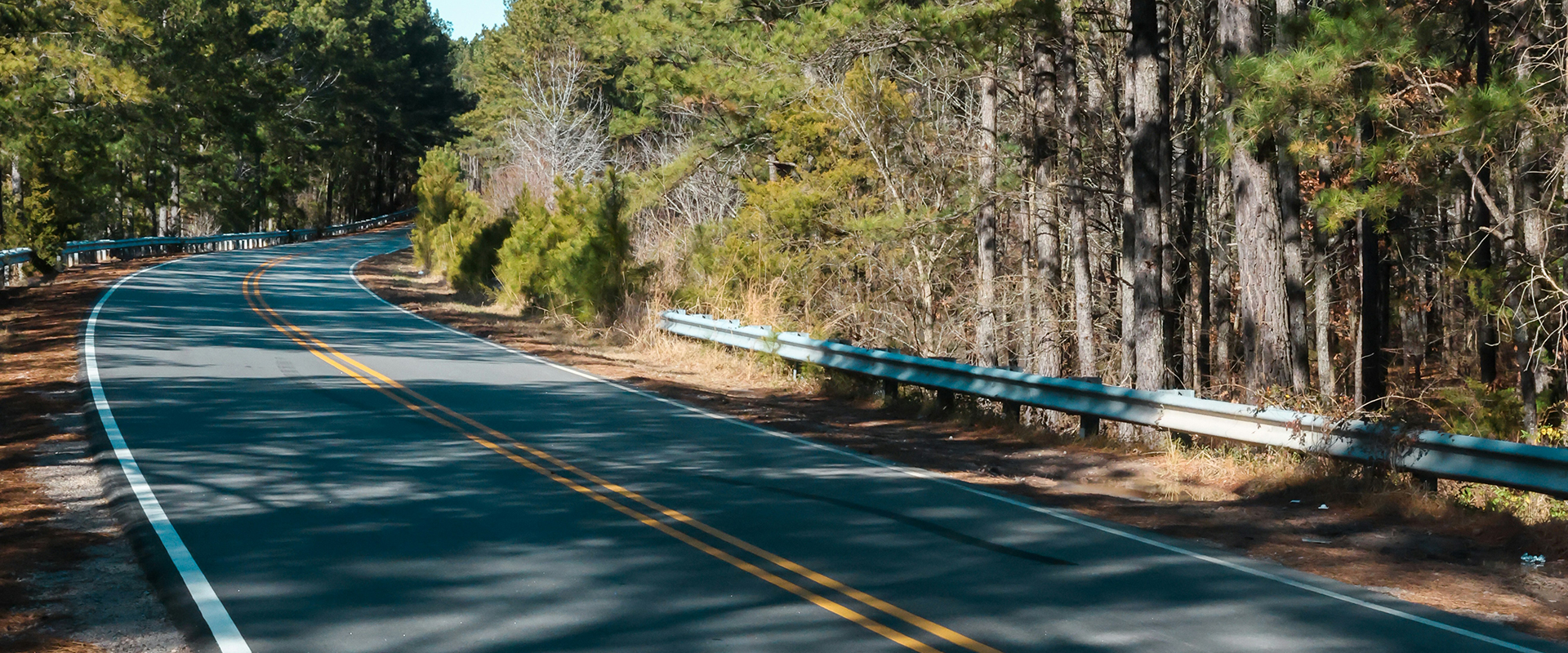 novapilotcars big title banner bg 65546